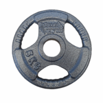 Disco Olimpico in Ferro 5 kg