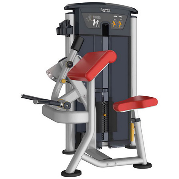 Curl per Bicipiti, Bicep Curl