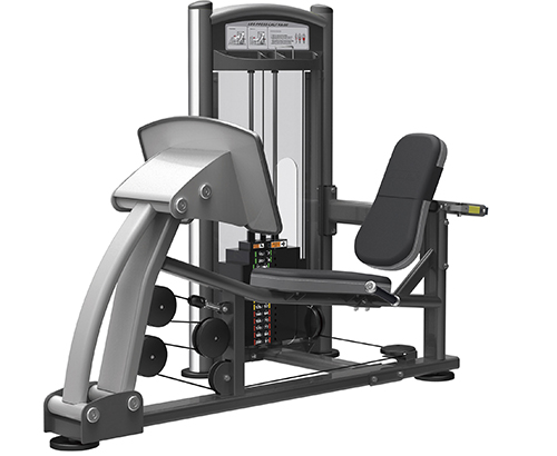 Leg Press Impulse Elite IT9310