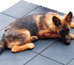 Bordi Femminili di spessore 16mm per Piastra Pavimento Antitrauma in Gomma 90cm x 90cm - immagine 12