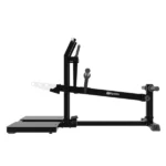 cintura squat