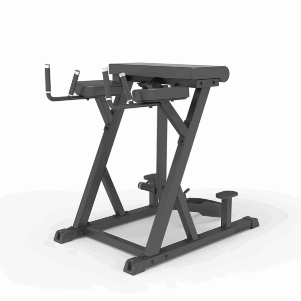 Panca Iperestensioni Inverse