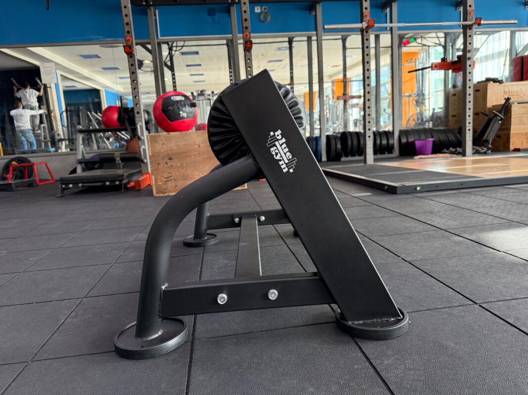 Squat a Gamba Singola, Bulgarian Split Squat Stand