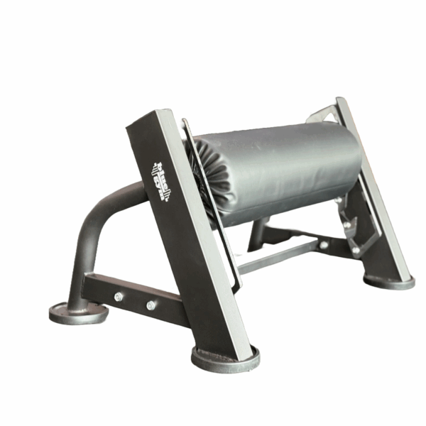 Squat a Gamba Singola, Bulgarian Split Squat Stand